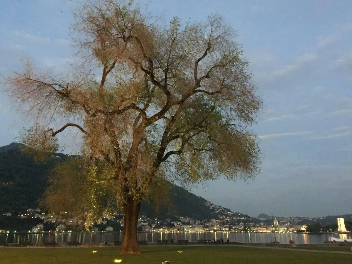 Iris 2 Lago Di Como Dongo 0*,  Italy